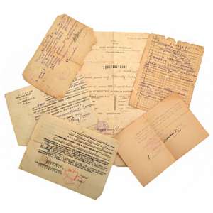 Lot of documents to the captain of the red army G. S. Shestov