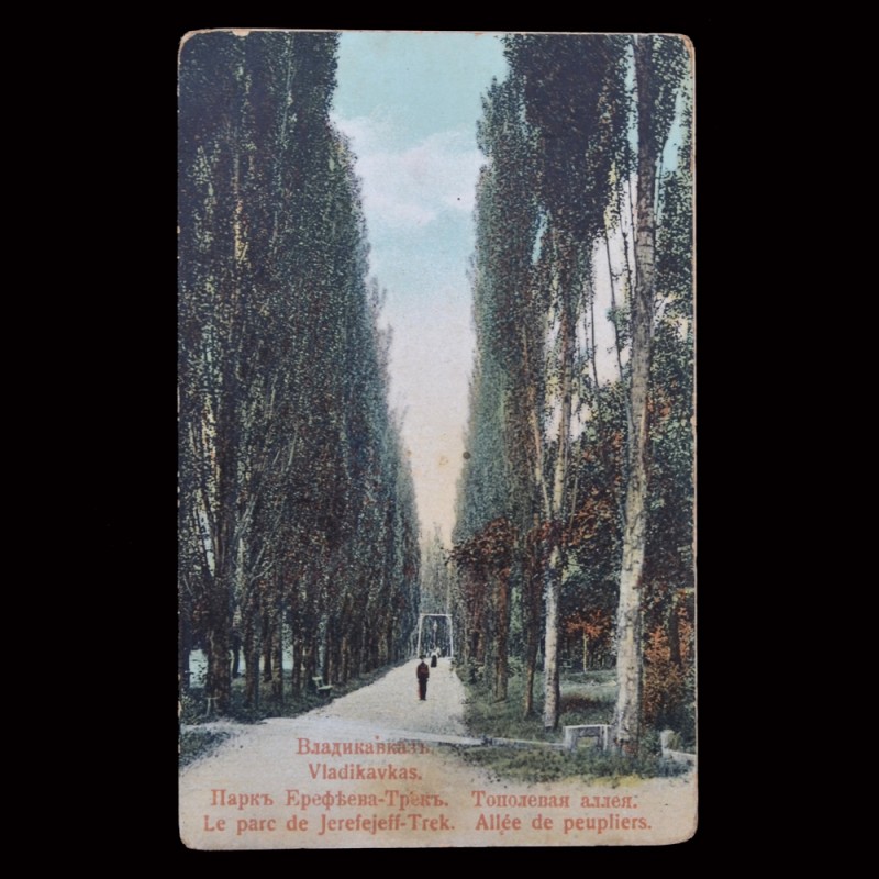 Postcard from the series "Vladikavkaz". Park Arefieva Track.