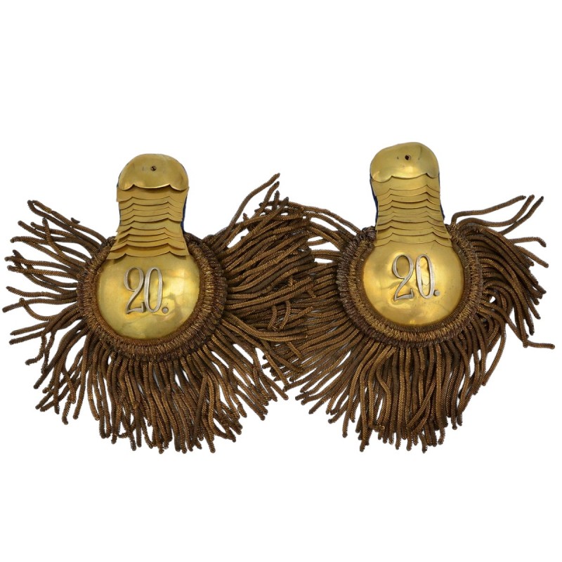 Epaulettes of the colonel of the 20th Dragoon Olviopolsky regiment, a copy?